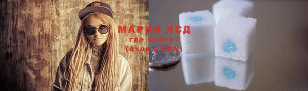 стафф Алзамай
