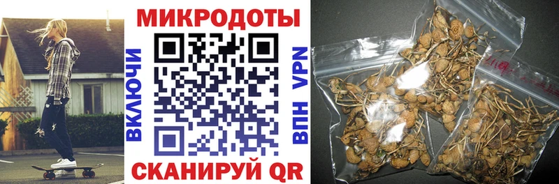 Галлюциногенные грибы Magic Shrooms  мега вход  Бабушкин 